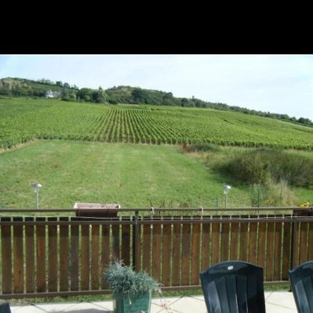 Moroges Maison Au Milieu Des Vignes מראה חיצוני תמונה